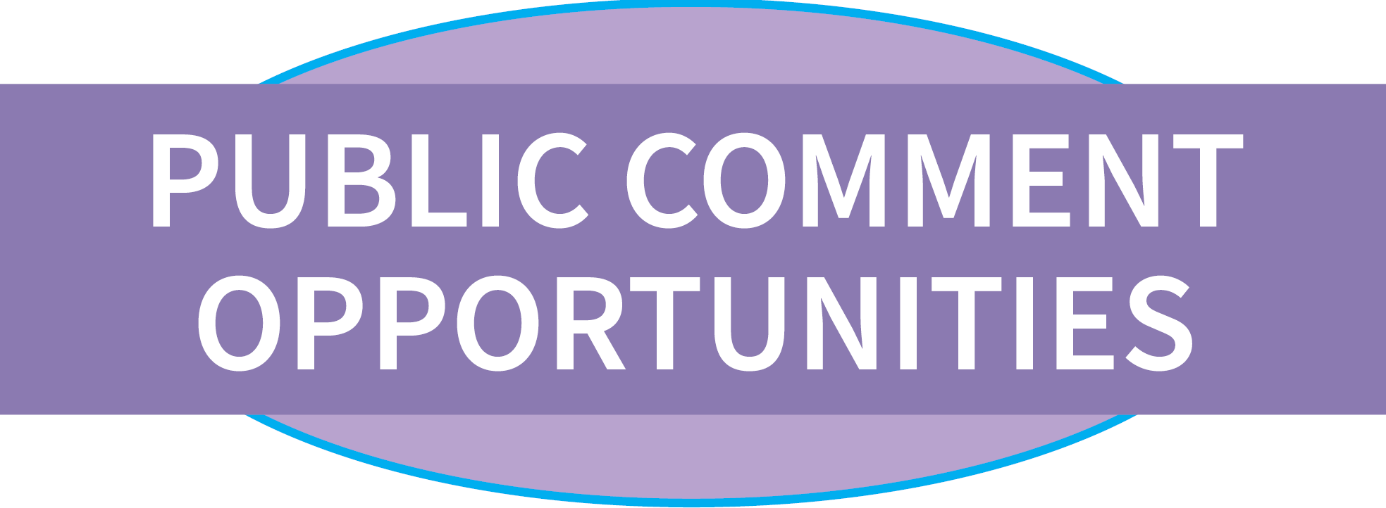 Public Comment Header